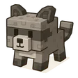 Raccoon